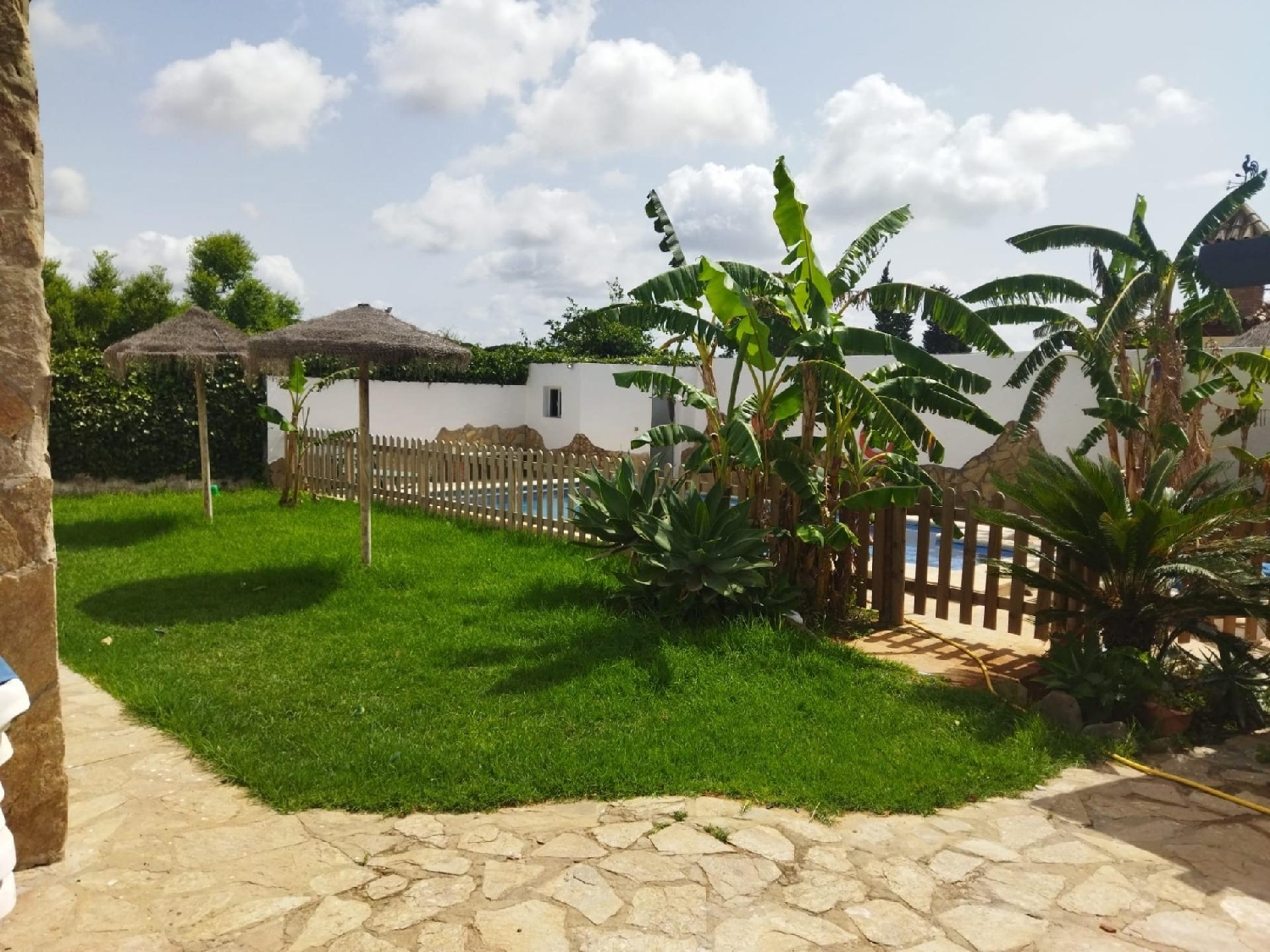  en venta finca rústica Barbate Janda (La) 6