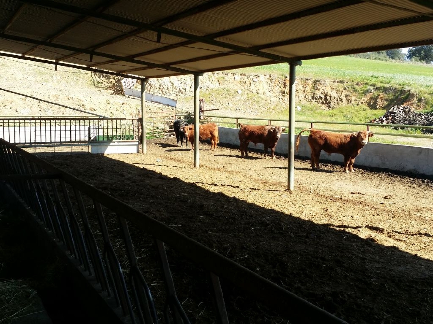  till salu hus på landet Barrio San Vicente Valle Medio Del Guadalquivir 2