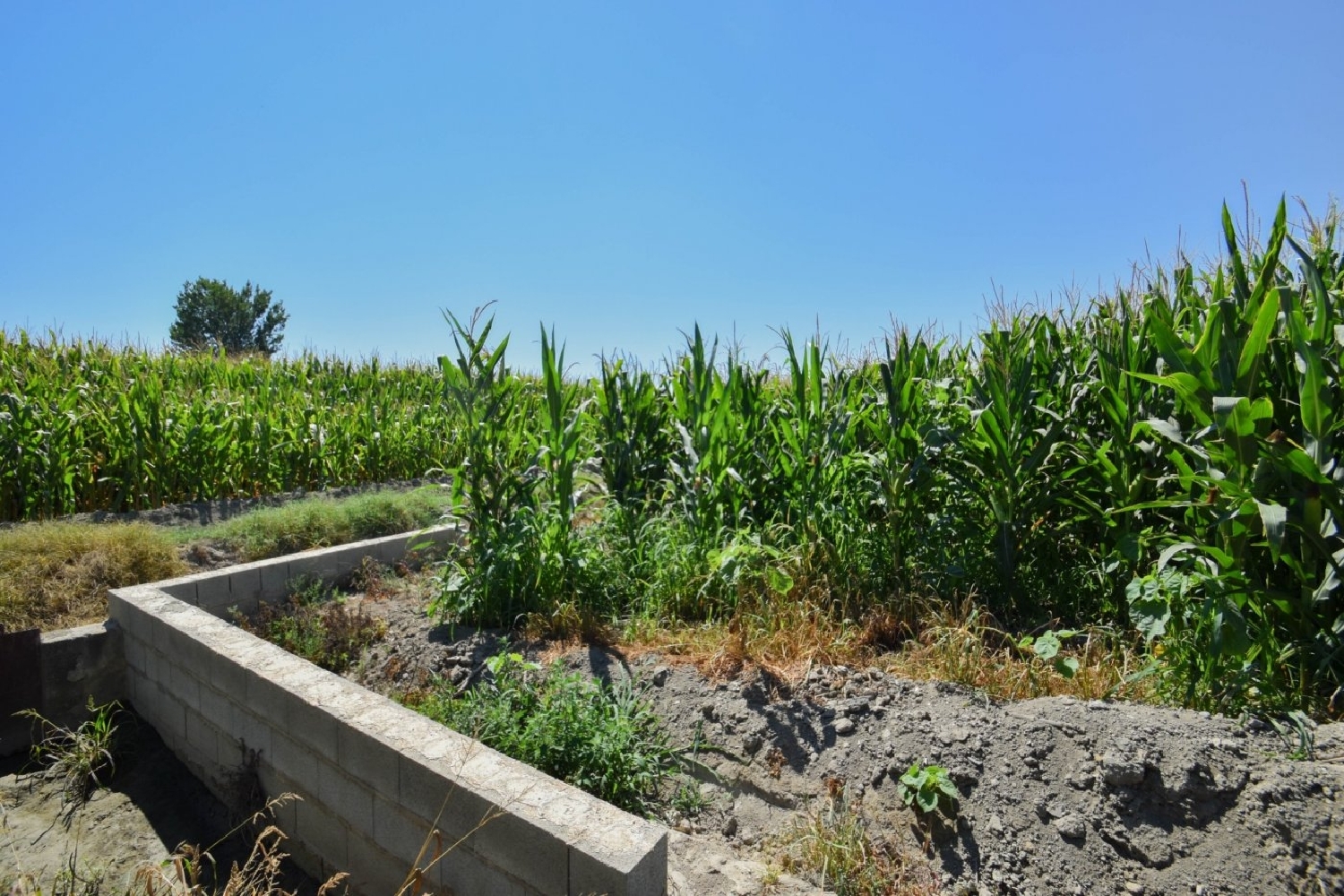  en venta finca rústica Belicena Vega De Granada 8