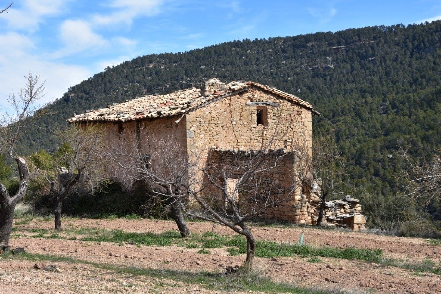  till salu hus på landet Belmonte De San José Bajo Aragón 3
