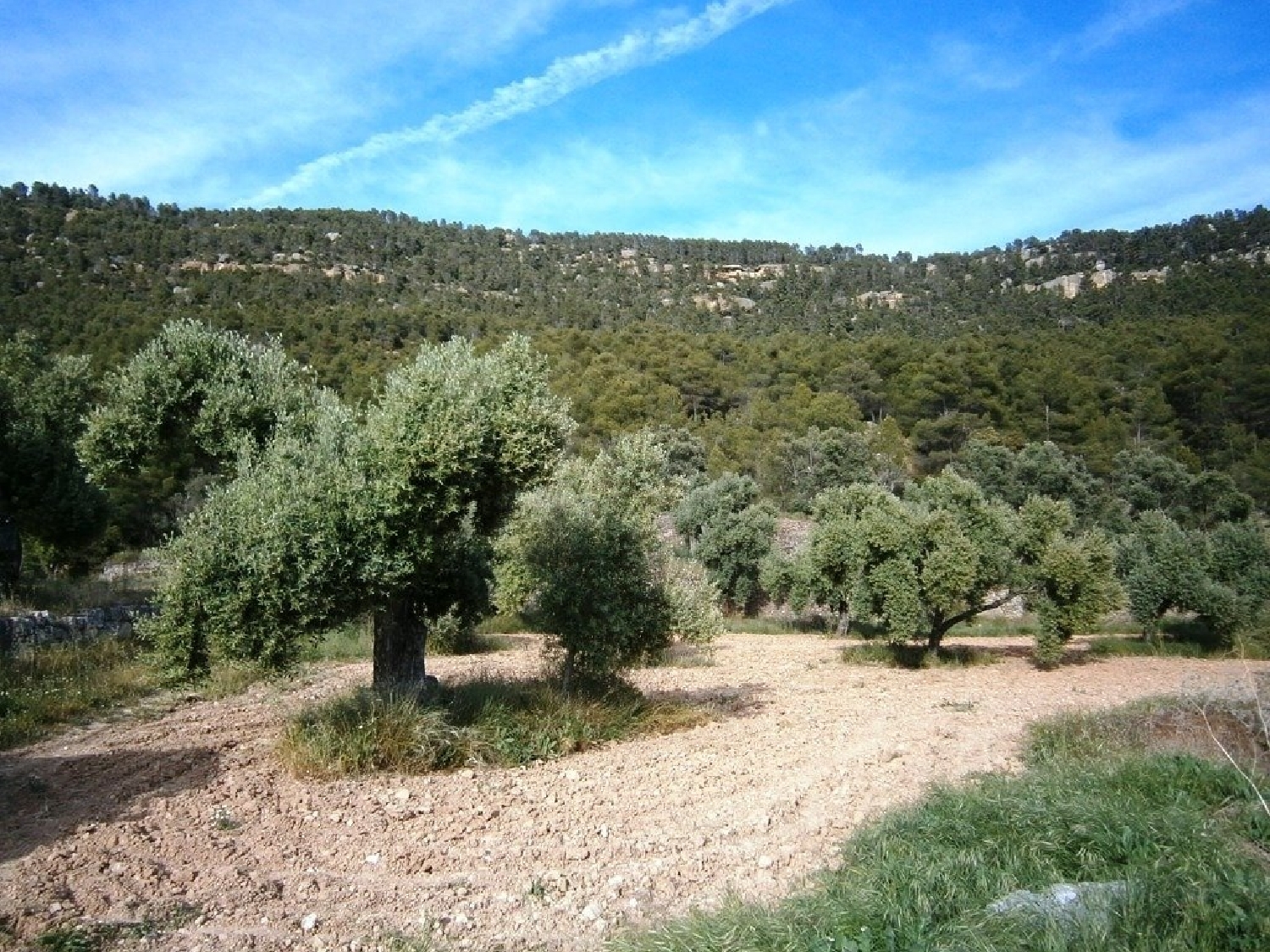  till salu hus på landet Belmonte De San José Bajo Aragón 8