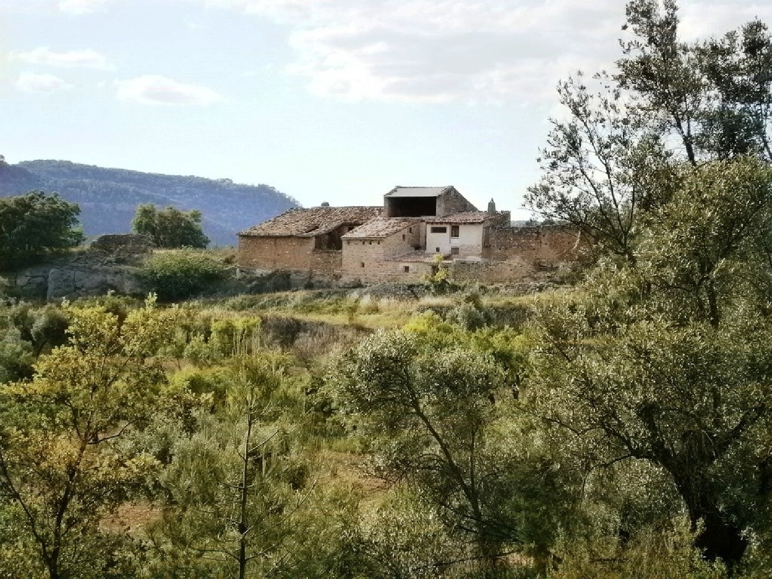  till salu hus på landet Belmonte De San José Bajo Aragón 7