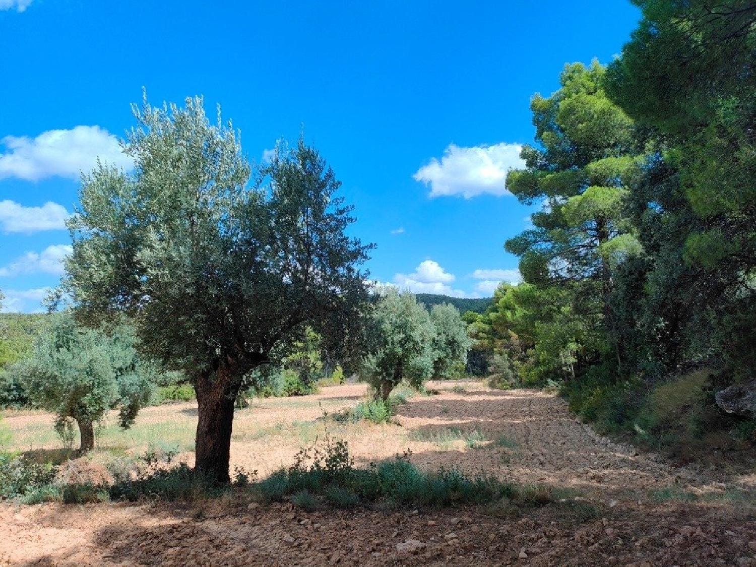  till salu hus på landet Belmonte De San José Bajo Aragón 6