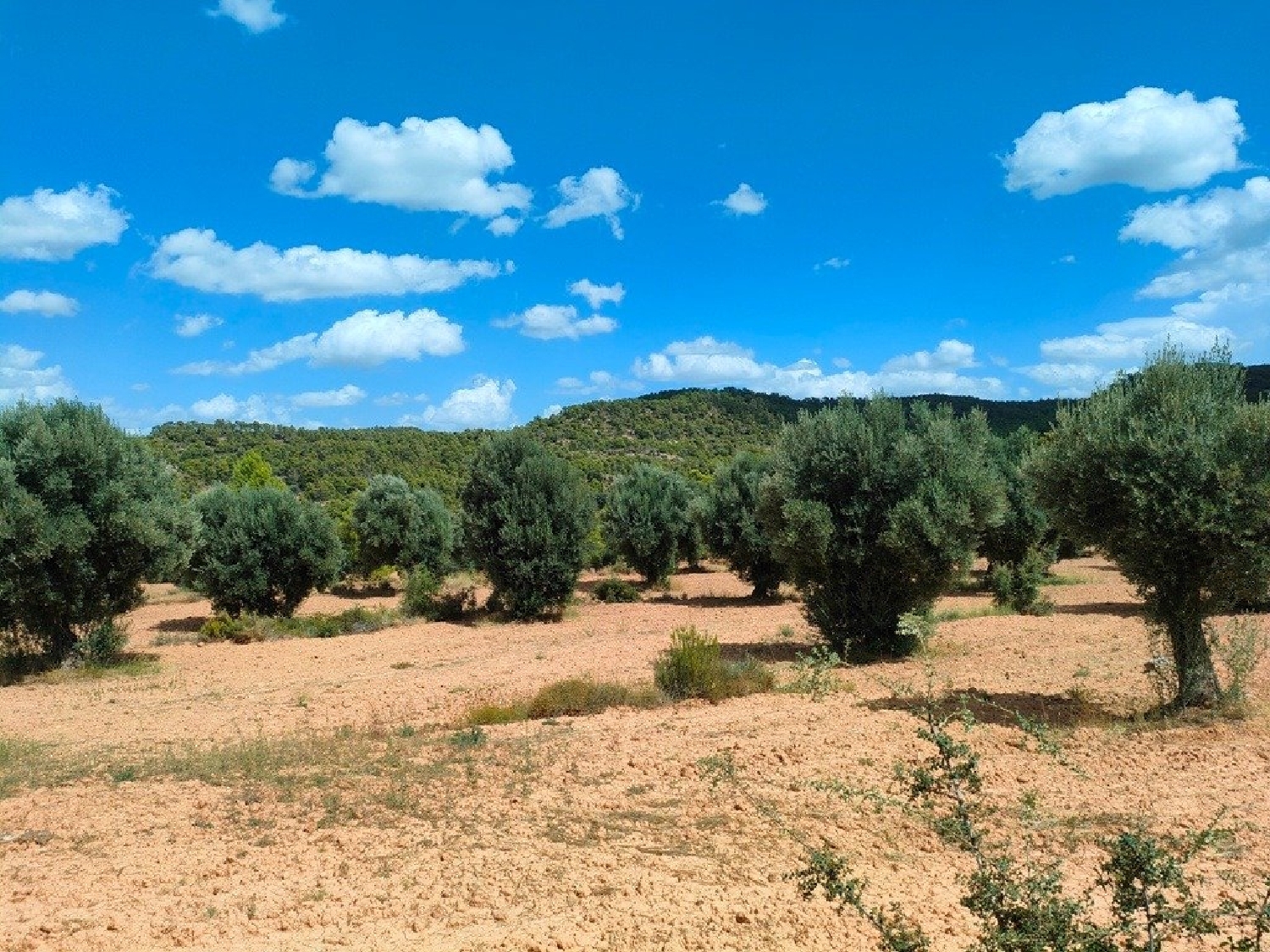  till salu hus på landet Belmonte De San José Bajo Aragón 3