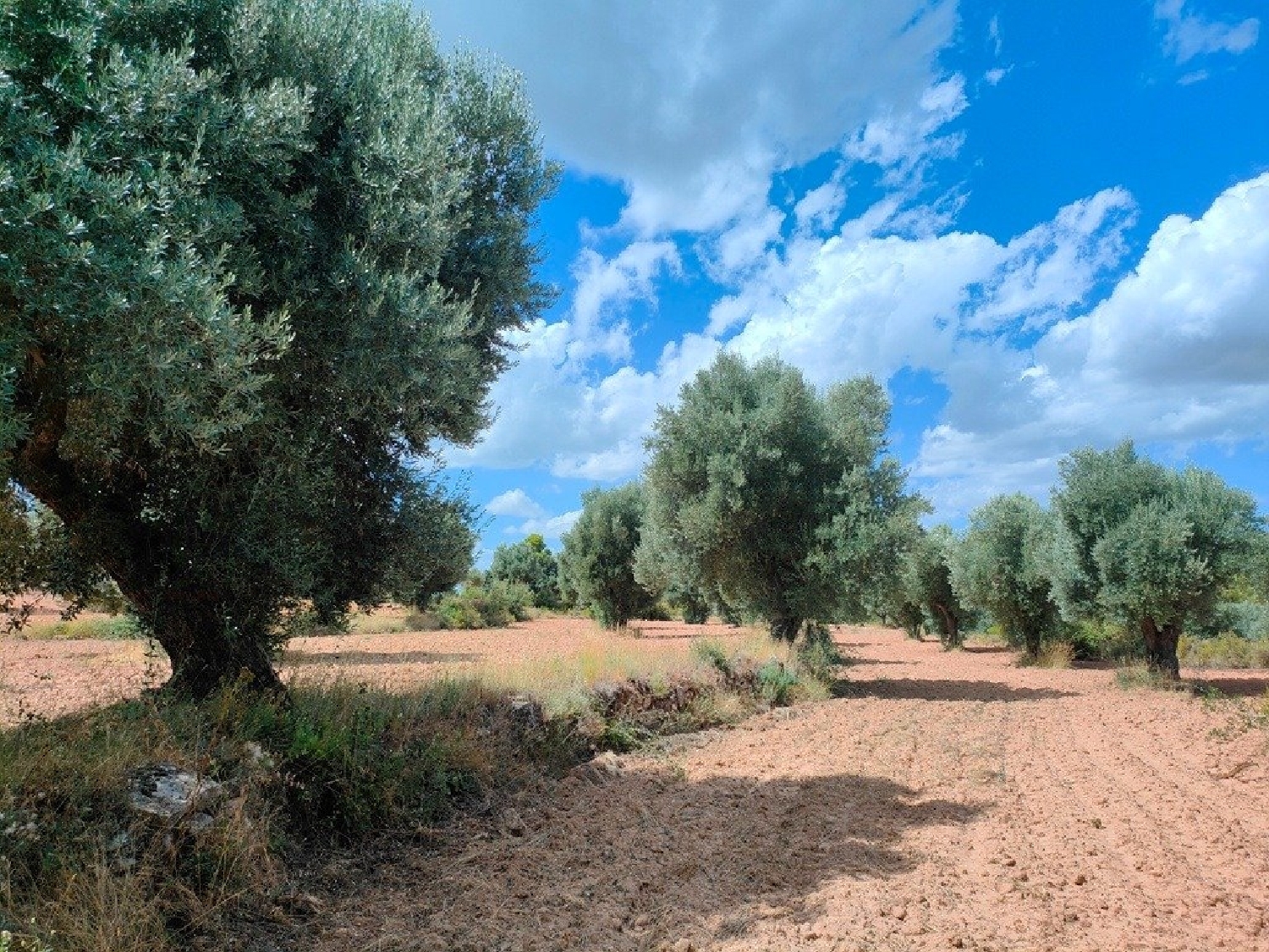  till salu hus på landet Belmonte De San José Bajo Aragón 1