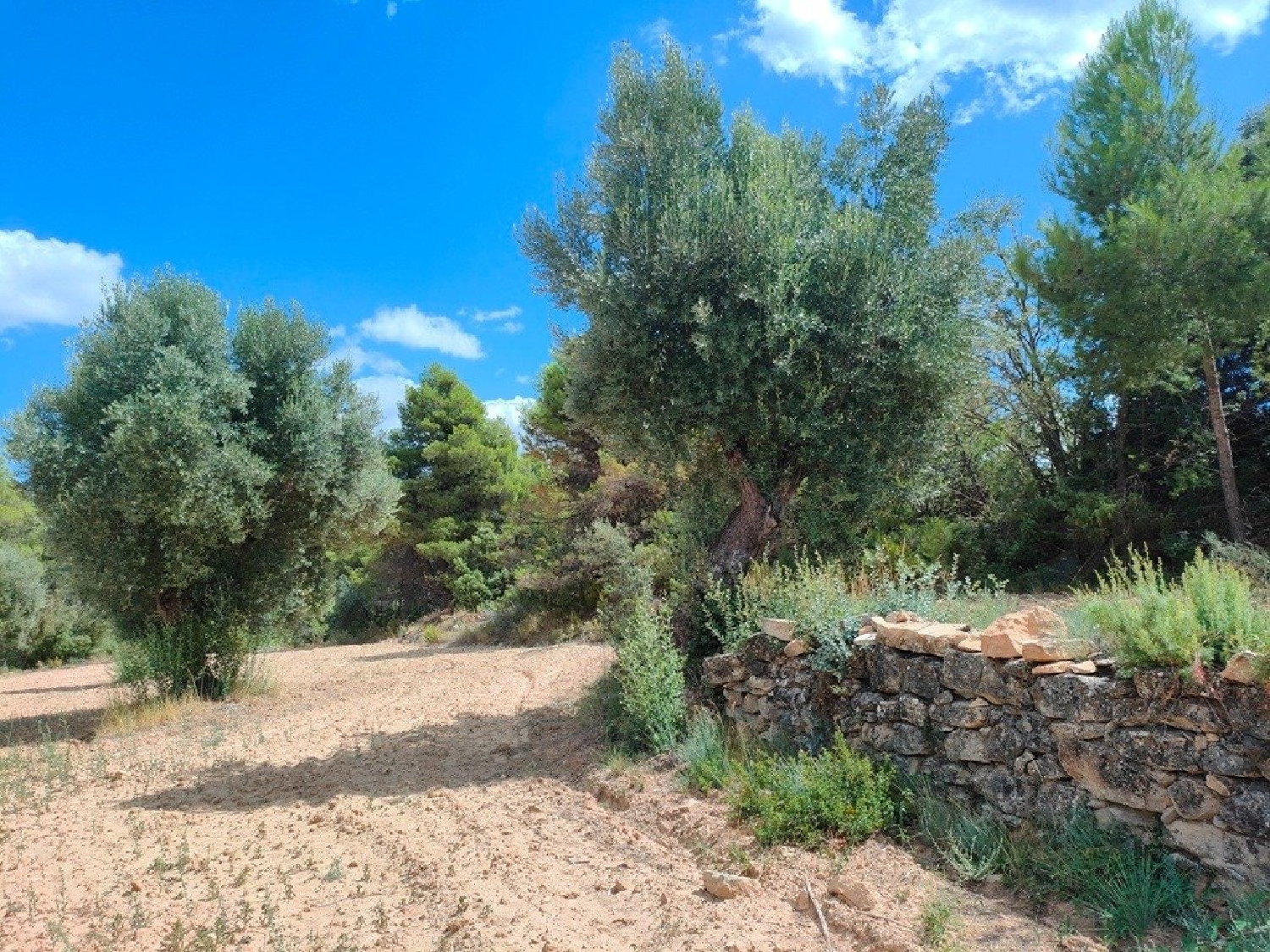  till salu hus på landet Belmonte De San José Bajo Aragón 8