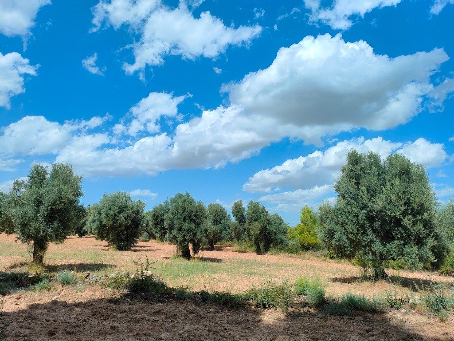  till salu hus på landet Belmonte De San José Bajo Aragón 7