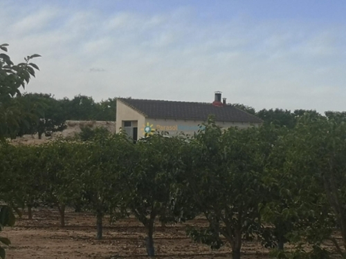 Benigánim Vall D''albaida hus på landet foto 6263532