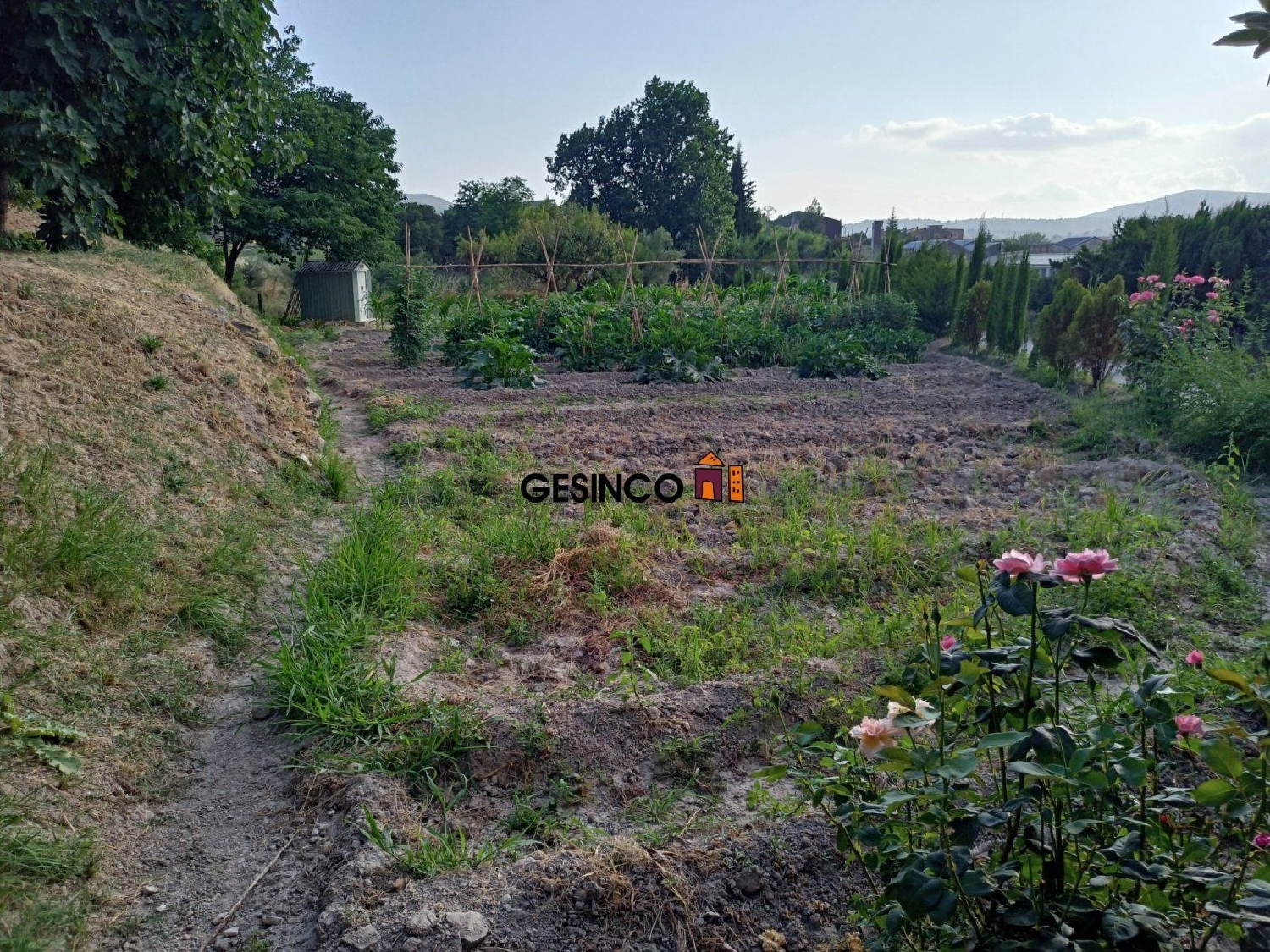  till salu hus på landet Bocairent Vall D'albaida 8