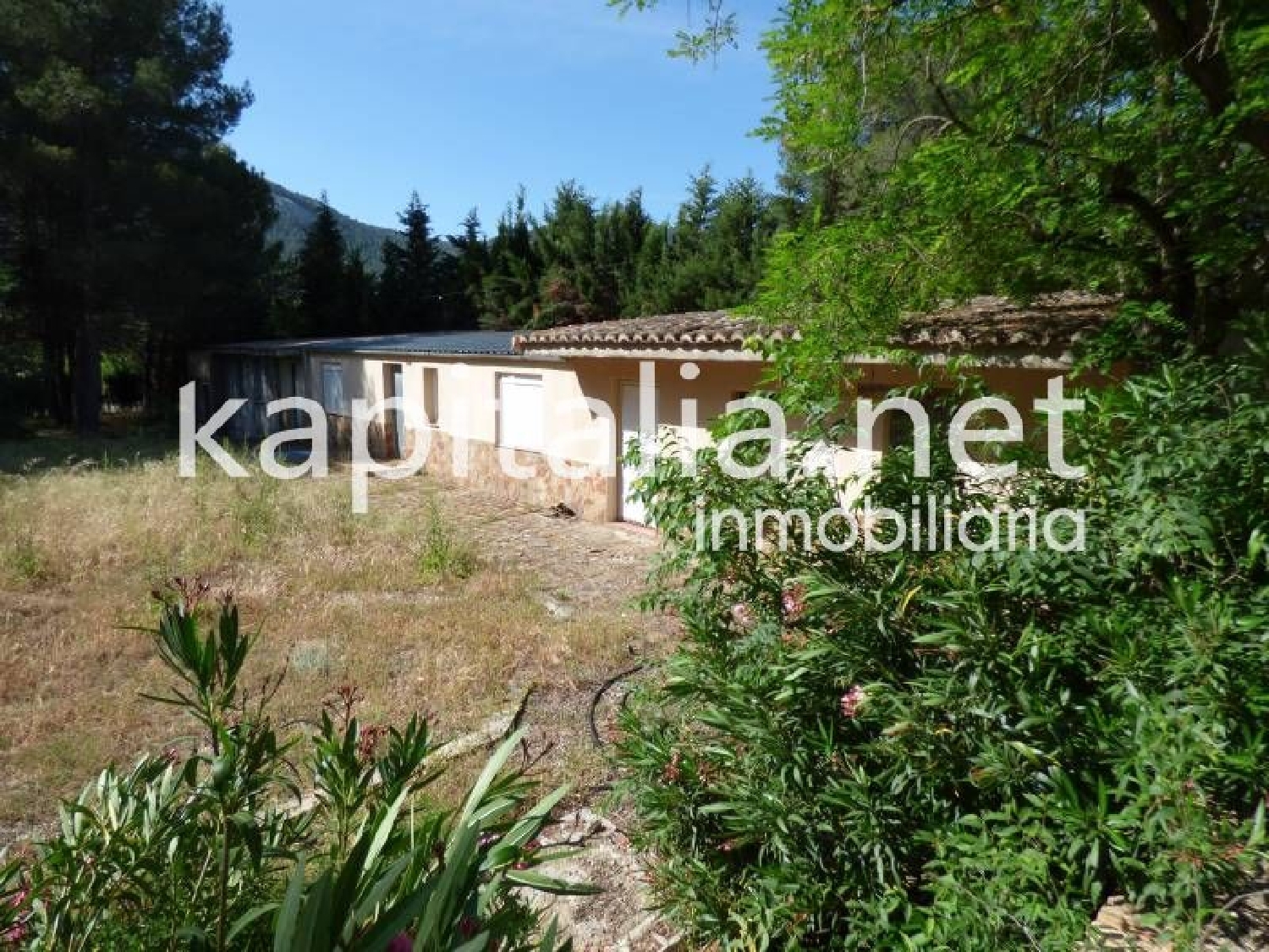  till salu hus på landet Bocairent Vall D'albaida 4