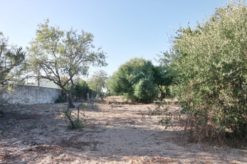 Bonanza Costa Noroeste hus på landet foto 6256974