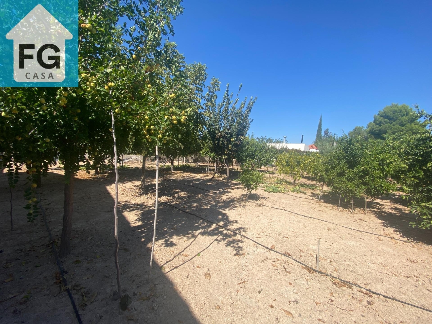  till salu hus på landet Bonetes Huerta De Murcia 4
