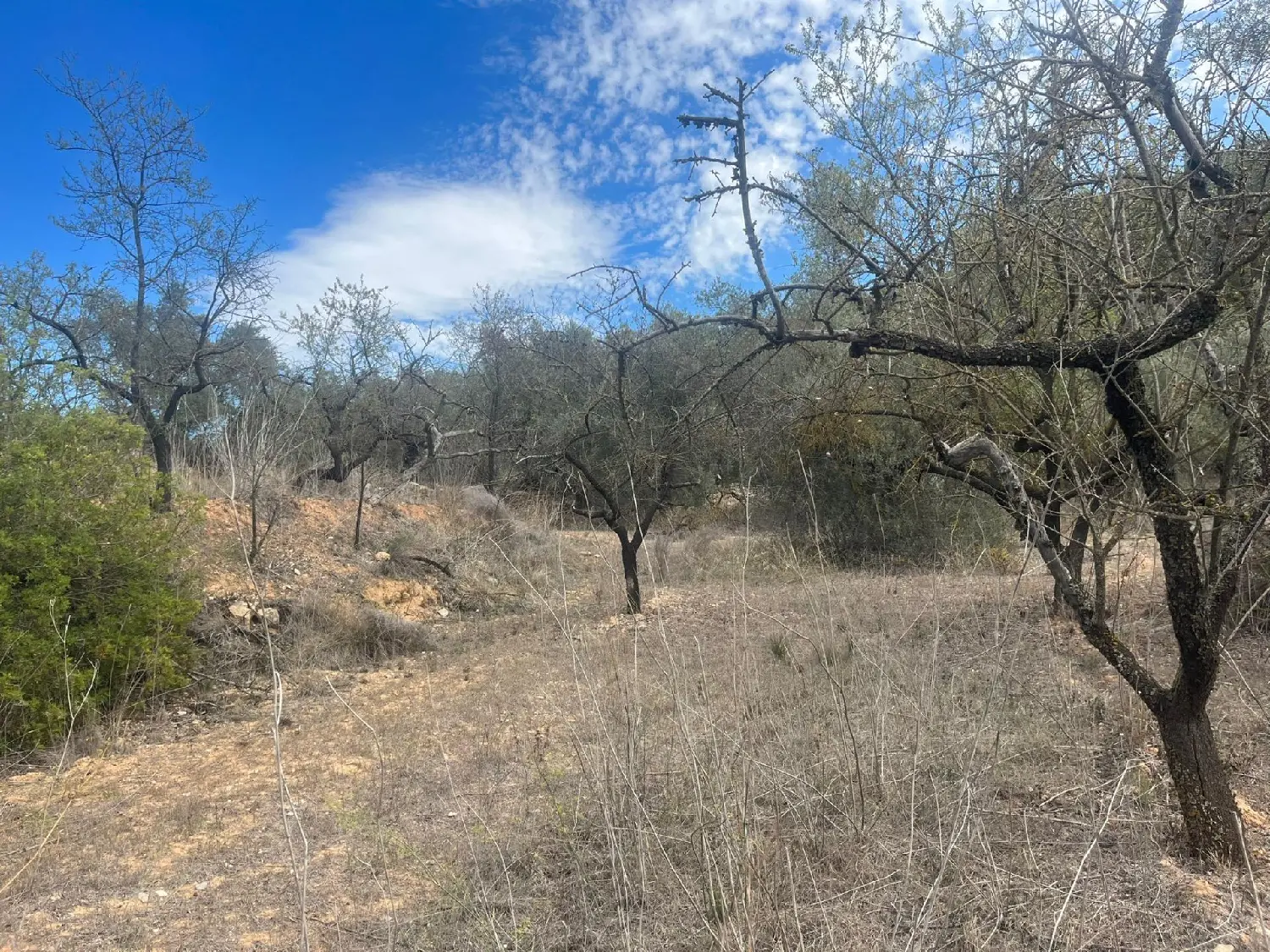 till salu hus på landet Molí Del Blanquillo Baix Penedès 3