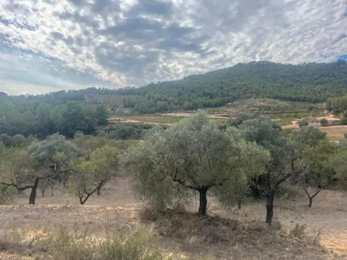 Molí Del Blanquillo Baix Penedès hus på landet foto 6168467
