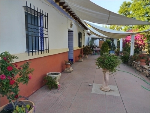 Cabezo De La Jara Alto Guadalentín hus på landet foto 6249543