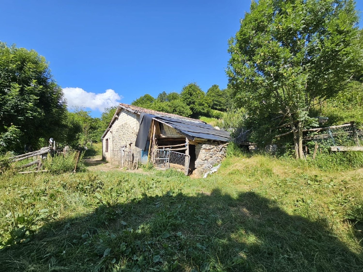  till salu hus på landet Cabo Caudal 5