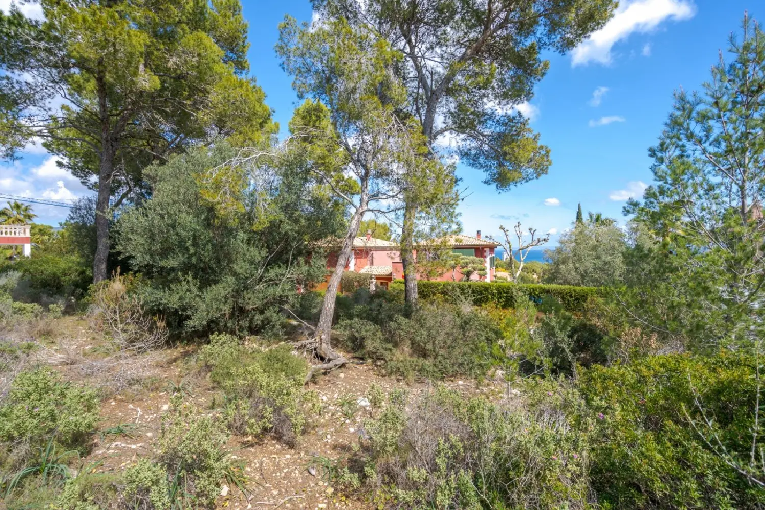  en venta finca rústica Felanitx Sud 1
