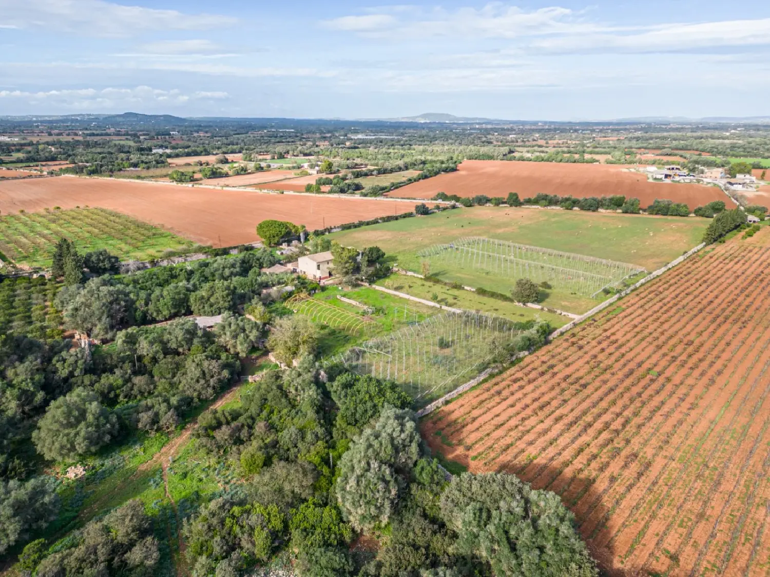  en venta finca rústica Felanitx Sud 3
