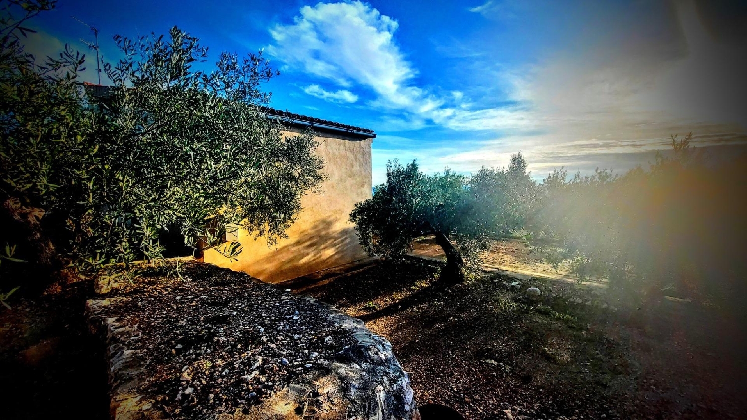  till salu hus på landet Cala Nova Baix Ebre 5