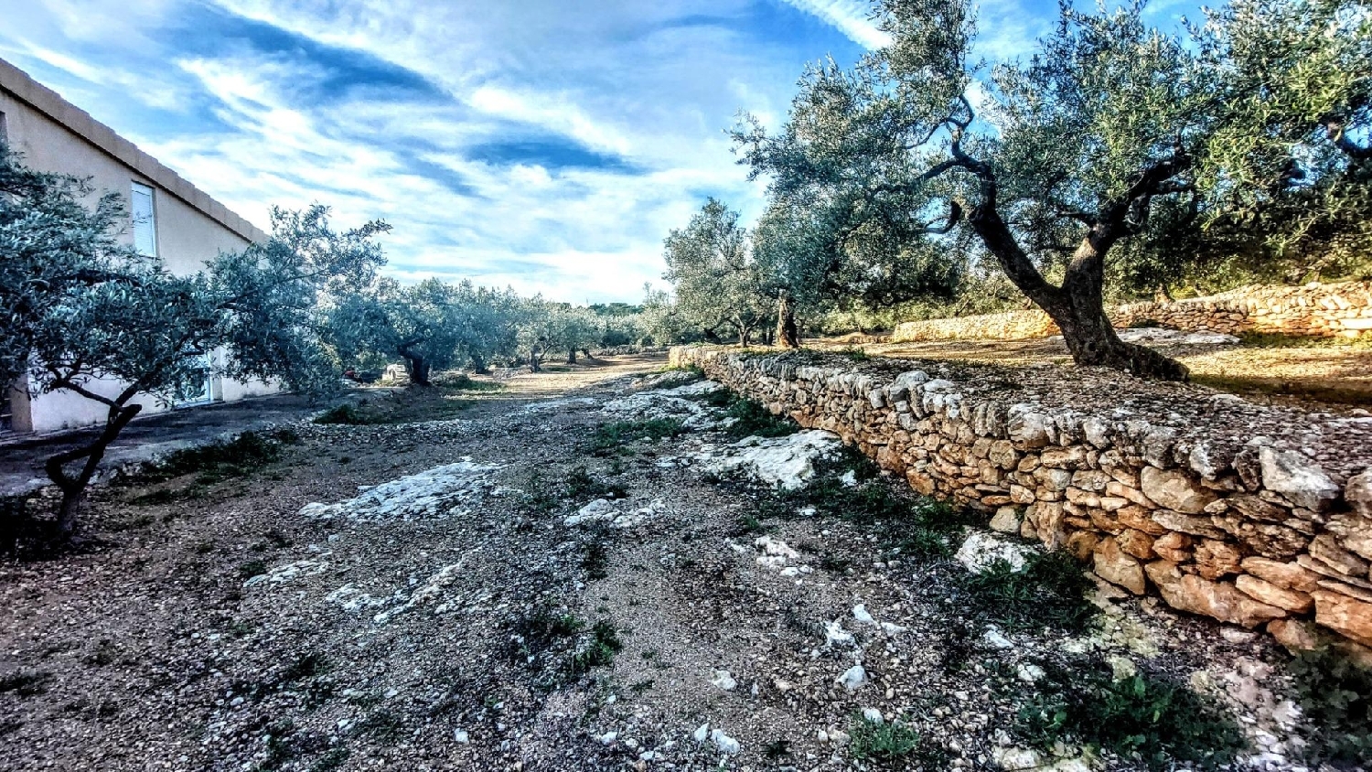  till salu hus på landet Cala Nova Baix Ebre 8
