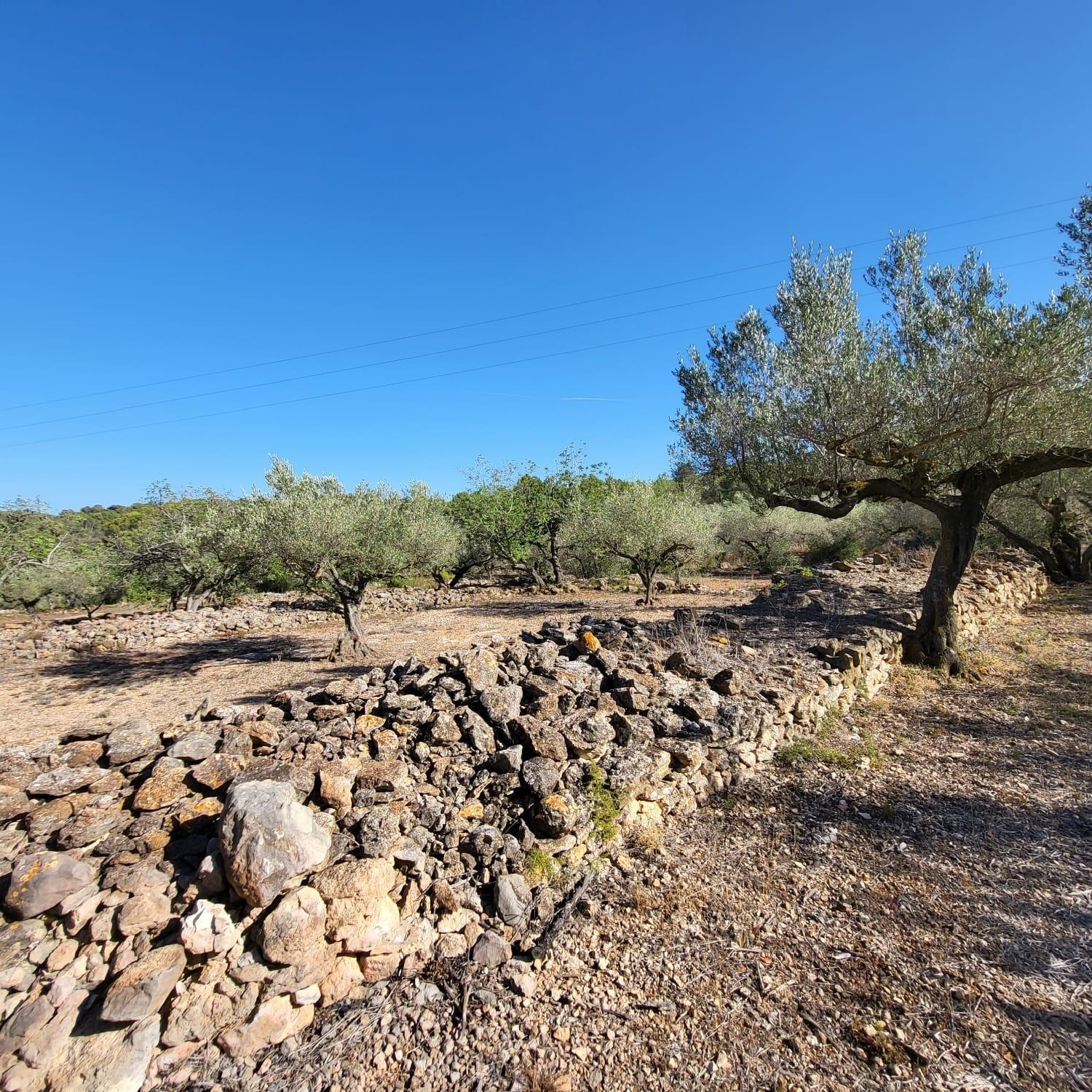  till salu hus på landet Cala Nova Baix Ebre 6