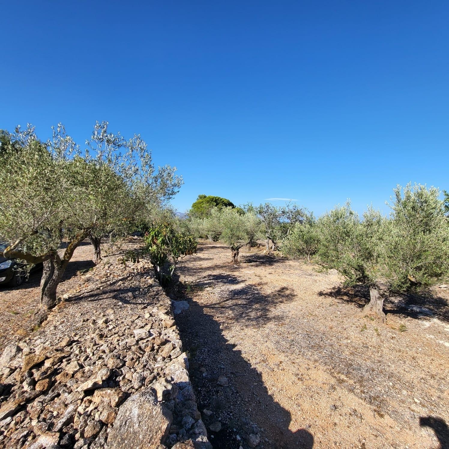  till salu hus på landet Cala Nova Baix Ebre 7