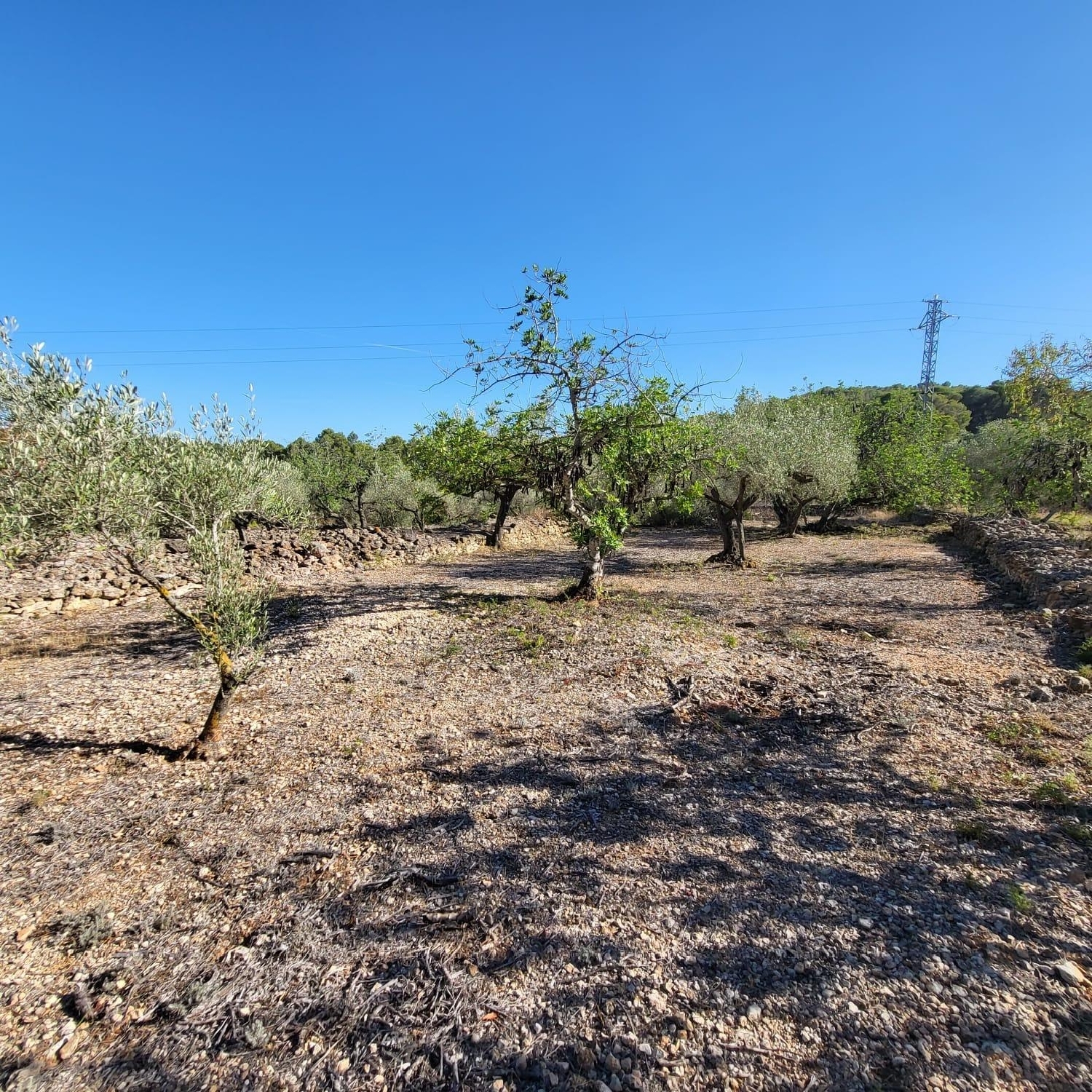  till salu hus på landet Cala Nova Baix Ebre 8