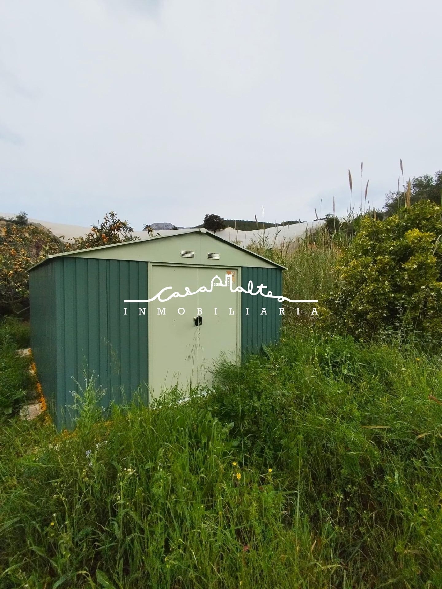  till salu hus på landet Callosa D'en Sarria Marina Baixa 5