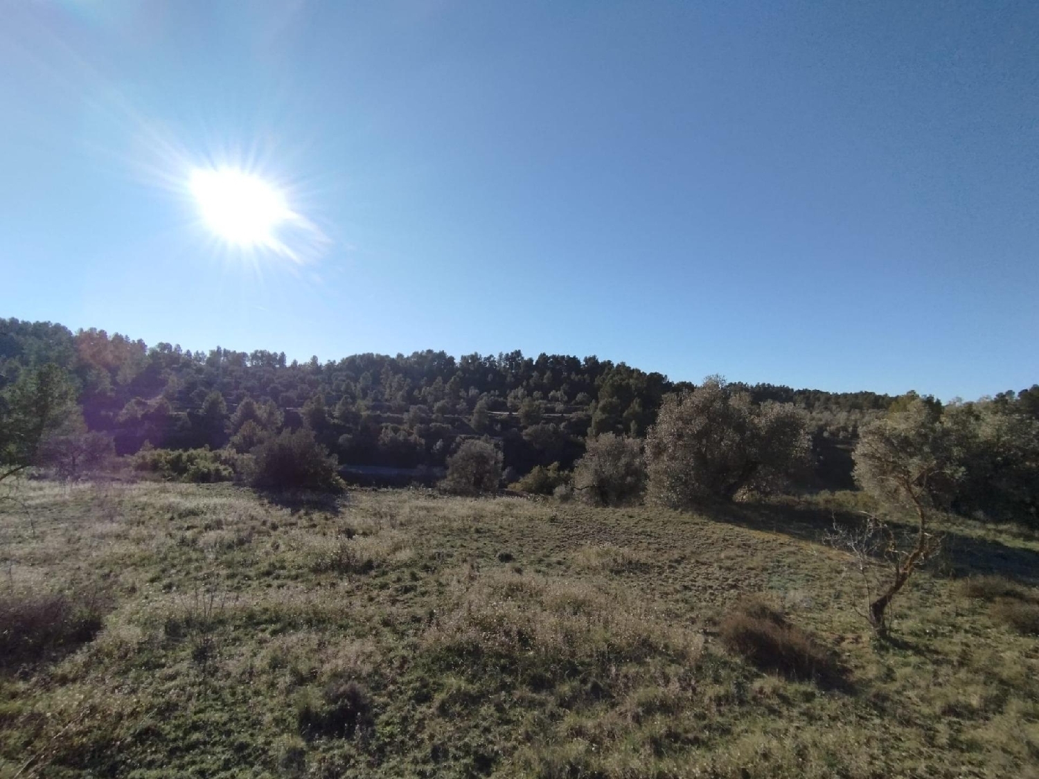  till salu hus på landet Villarejo De Los Olmos Jiloca 3