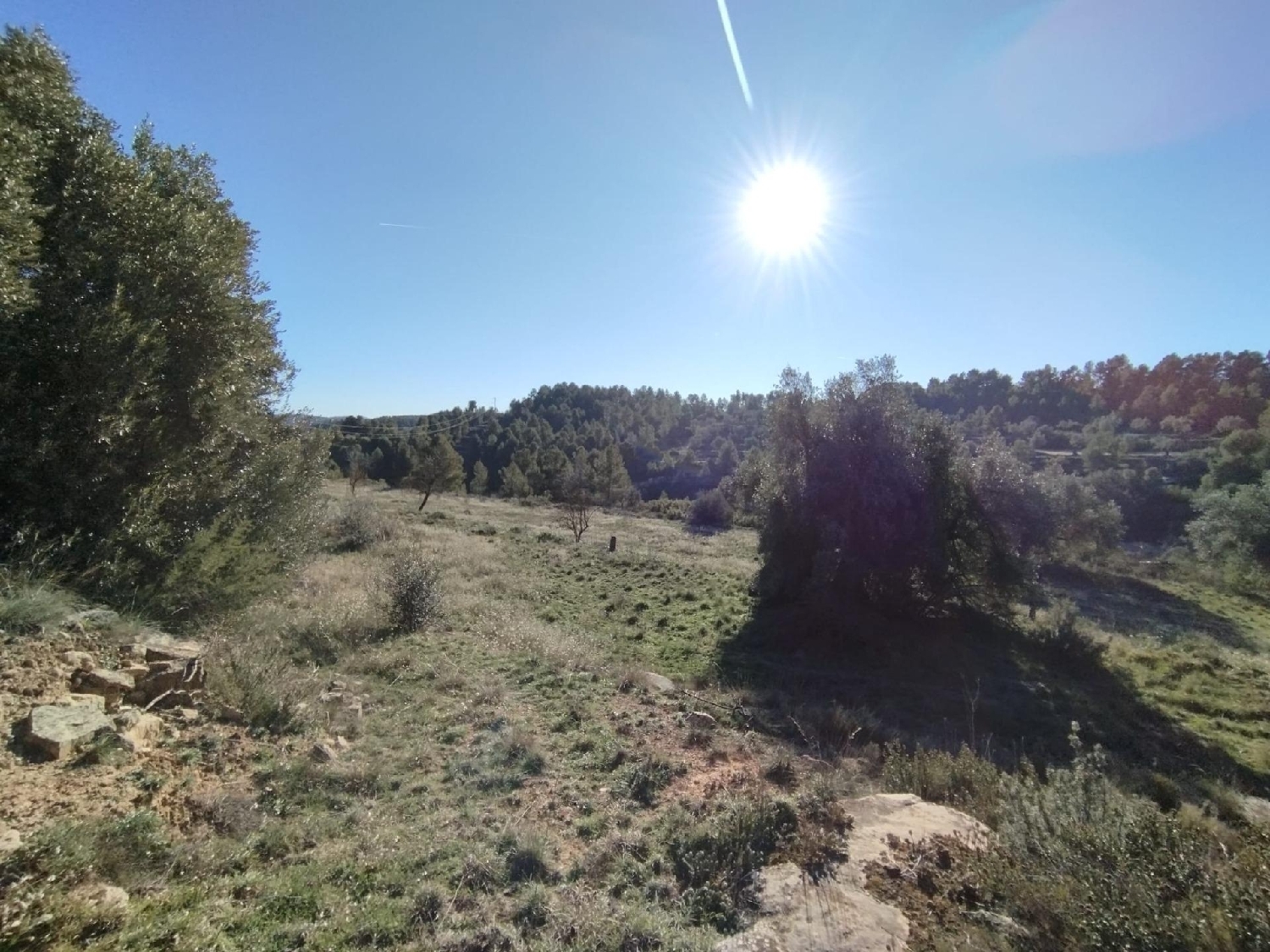  till salu hus på landet Villarejo De Los Olmos Jiloca 1