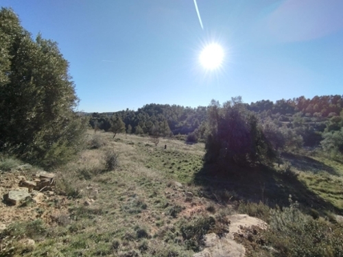 Villarejo De Los Olmos Jiloca hus på landet foto 6215195