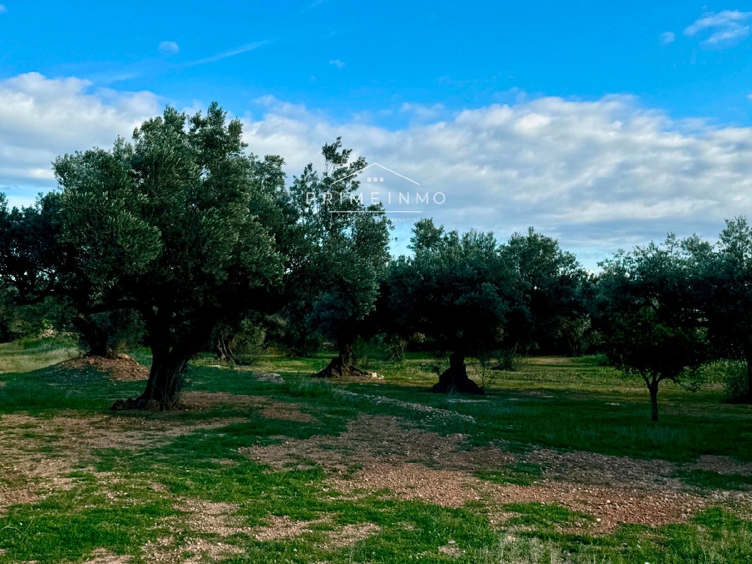  till salu hus på landet Ligallo Del Roig Baix Ebre 33