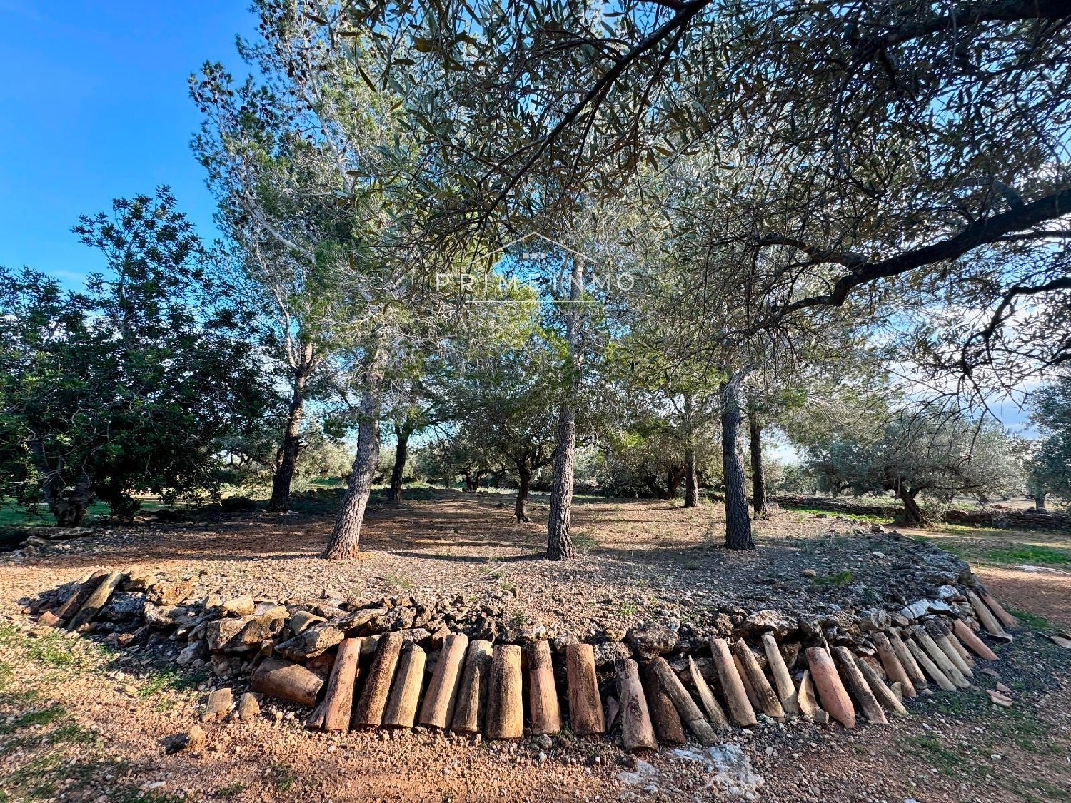  till salu hus på landet Ligallo Del Roig Baix Ebre 32