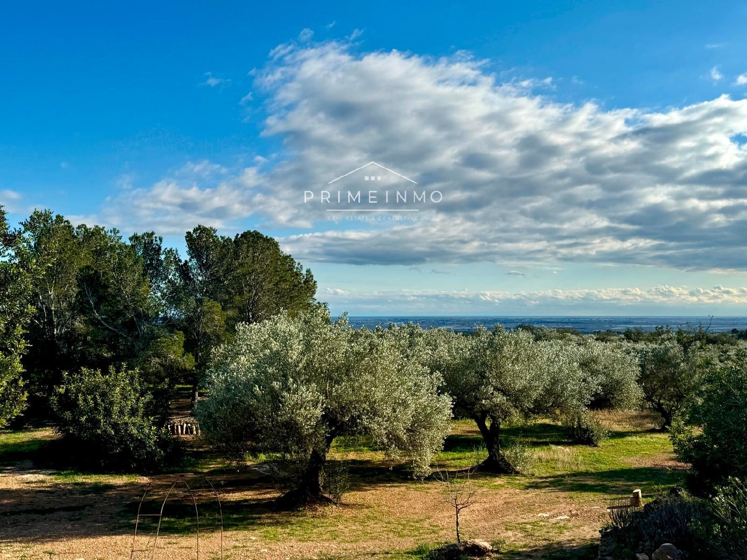  till salu hus på landet Ligallo Del Roig Baix Ebre 7