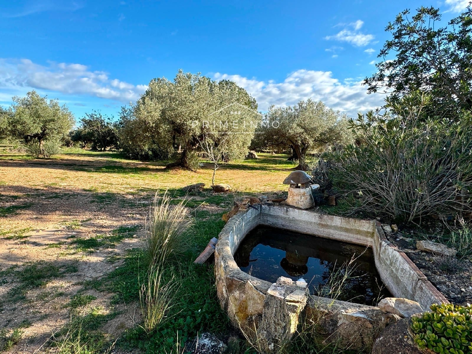  till salu hus på landet Ligallo Del Roig Baix Ebre 29