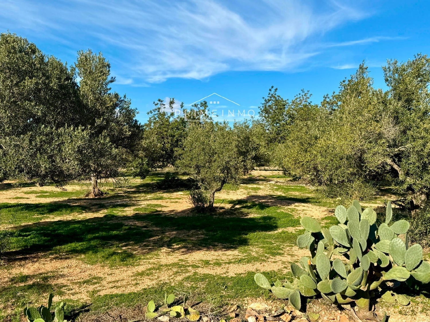  till salu hus på landet Ligallo Del Roig Baix Ebre 26