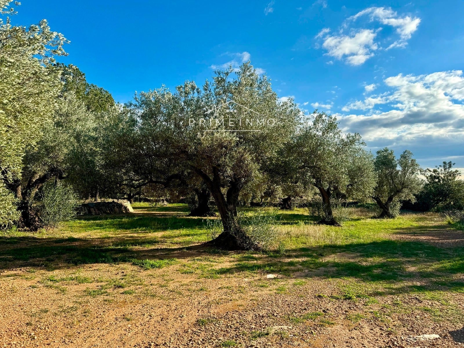  till salu hus på landet Ligallo Del Roig Baix Ebre 30