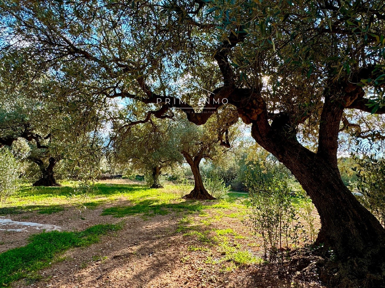  till salu hus på landet Ligallo Del Roig Baix Ebre 31