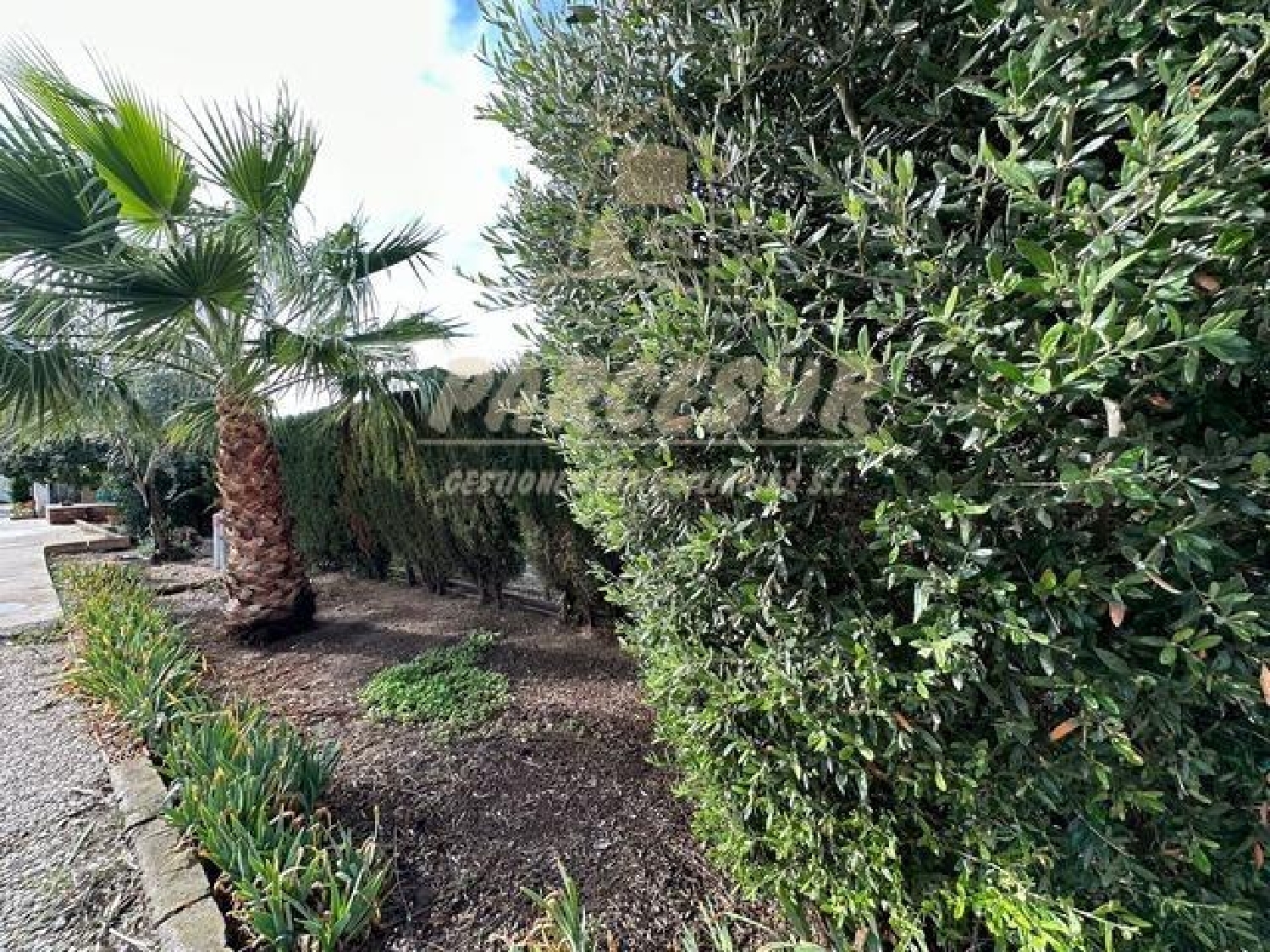  à vendre maison de campagne Villafranca De Córdoba Alto Guadalquivir 7