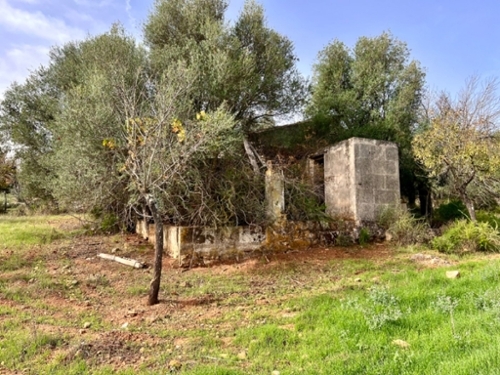 Campanet Raiguer hus på landet foto 6240515