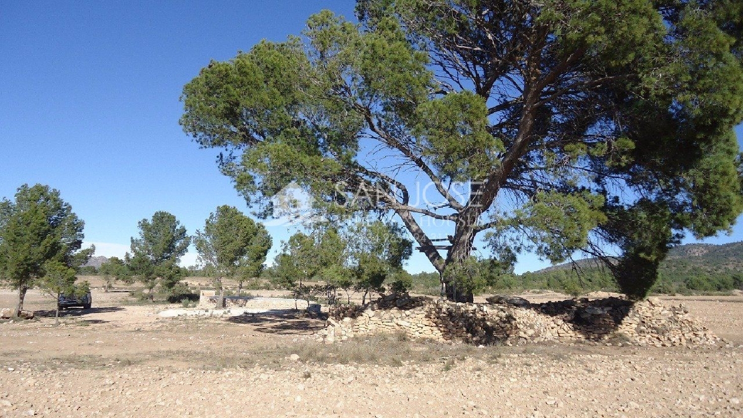  till salu hus på landet Campo Arriba Altiplano 7