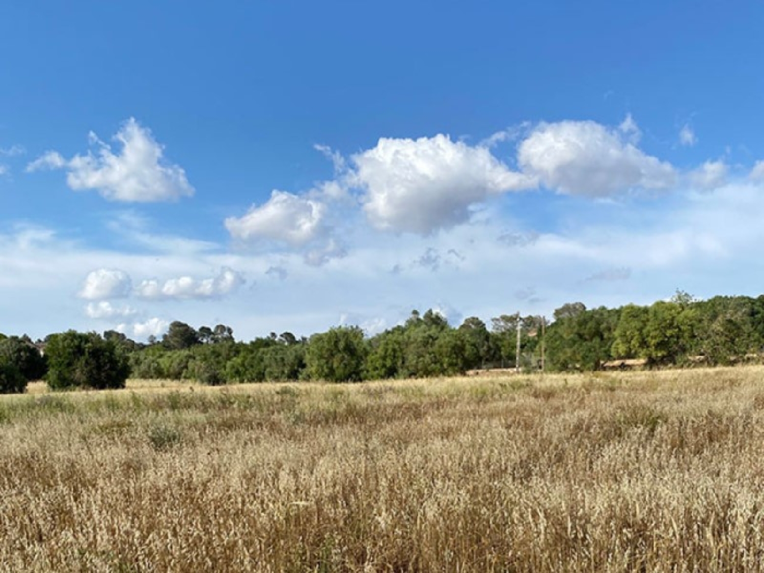  till salu hus på landet Campos Sud 7