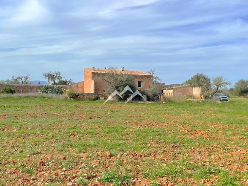 Campos Sud hus på landet foto 6256264
