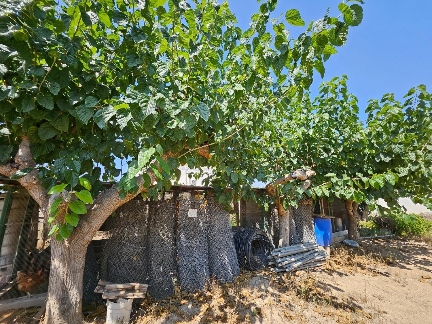  till salu hus på landet Campredo Baix Ebre 7