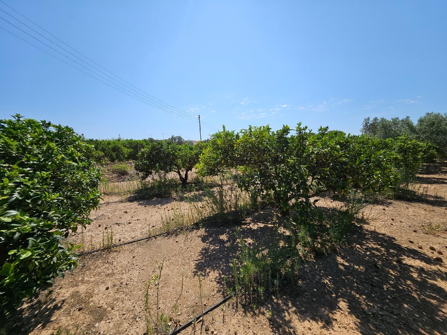  till salu hus på landet Campredo Baix Ebre 6