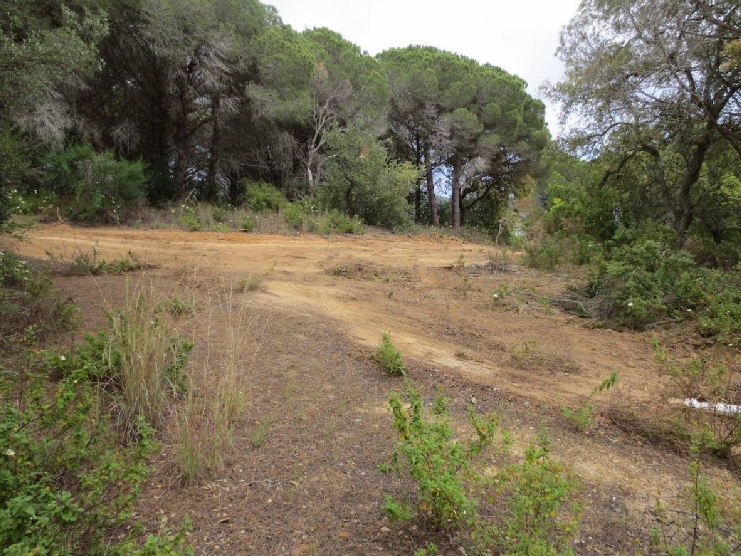  till salu hus på landet Can Pi Maresme 8