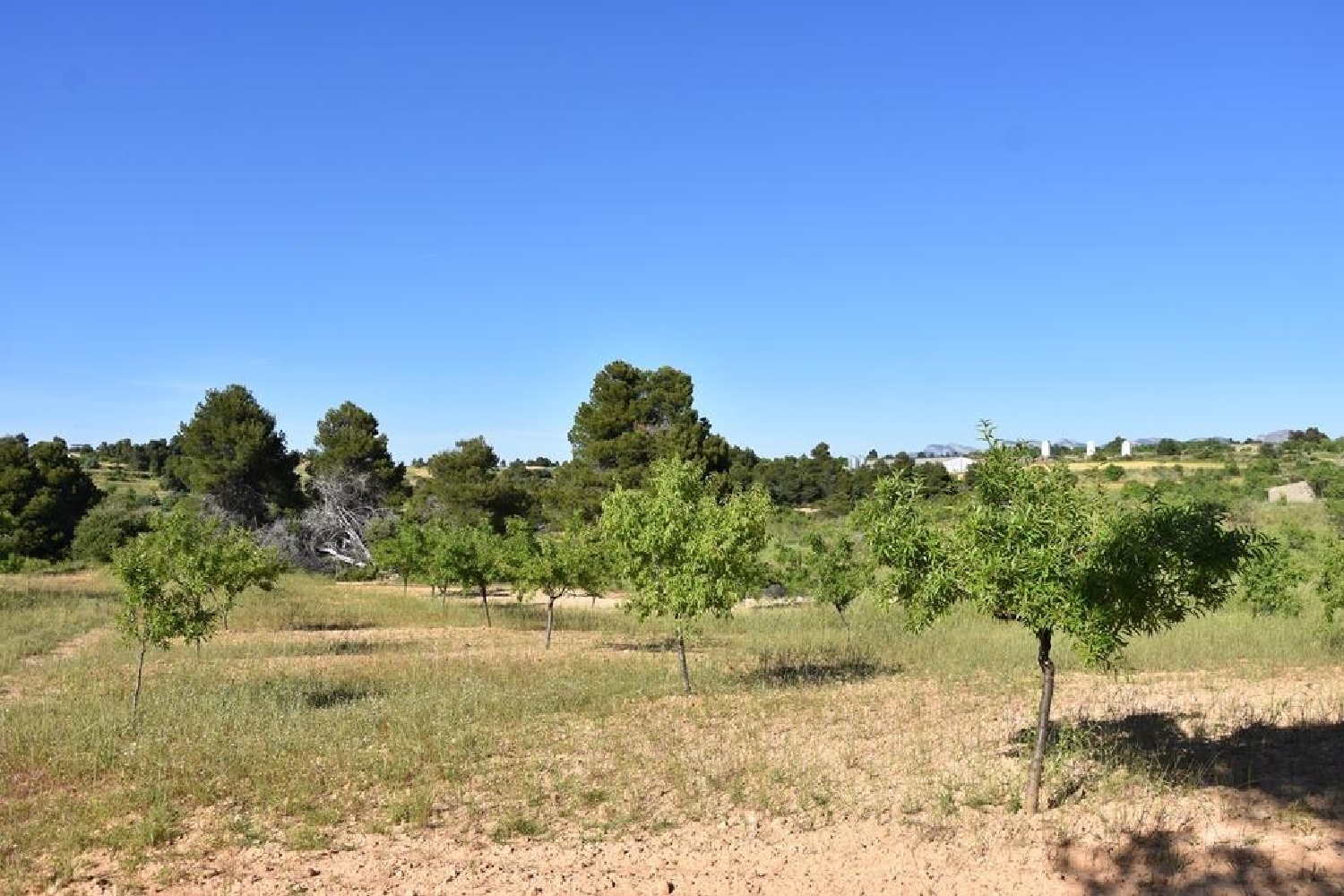  till salu hus på landet Alpeñés Comunidad De Teruel (La) 2
