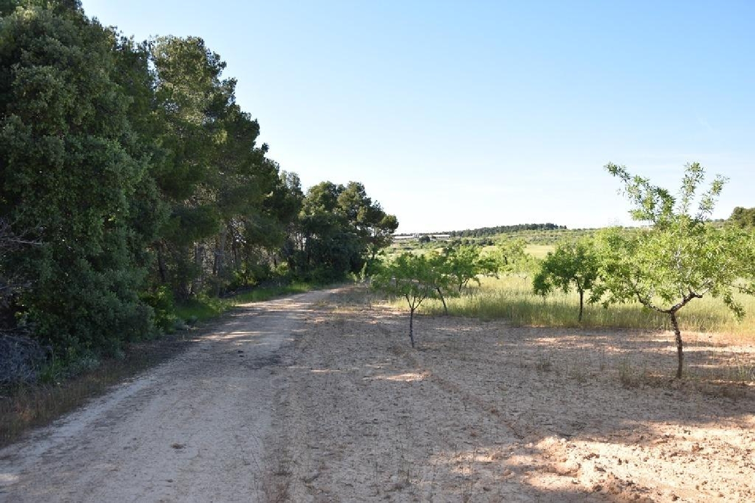  till salu hus på landet Alpeñés Comunidad De Teruel (La) 7