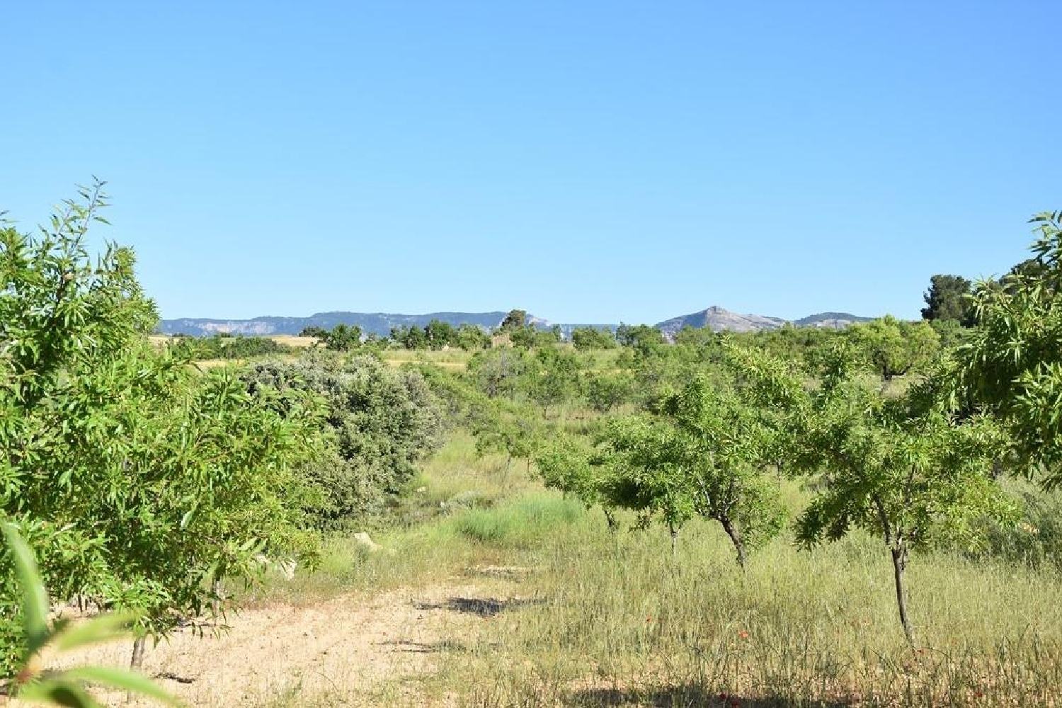  till salu hus på landet Alpeñés Comunidad De Teruel (La) 6