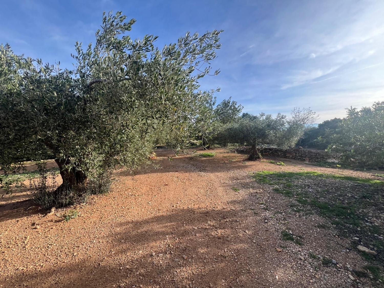  till salu hus på landet Cap-Roig Baix Ebre 5